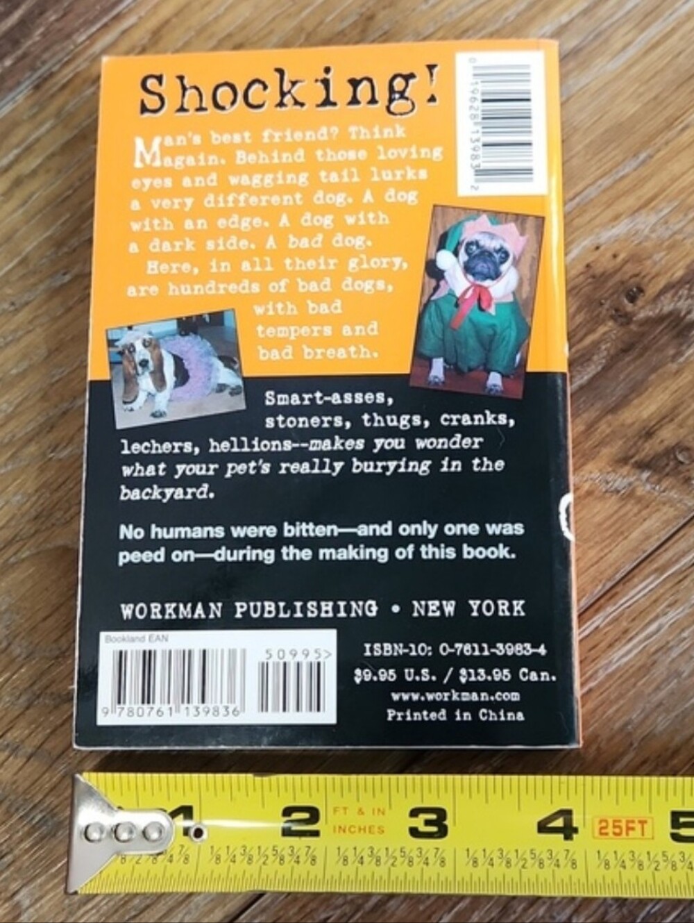 Bad Dog Book - Picture 3 of 9